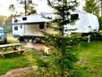 Parked trailer near fire pit and panic table at Plum Pines RV Park & Campground - thumbnail