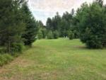 Open grass area at Plum Pines RV Park & Campground - thumbnail