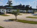 Covered parking at site The Good Life RV Park - thumbnail