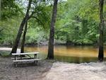 Panic table with lake view at Ohoopee River Campground - thumbnail