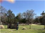 The dog run - thumbnail