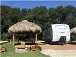 An RV site with Adirondack chairs around a fire ring - thumbnail
