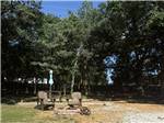 An RV site surrounded by tall trees - thumbnail