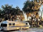 Trailer parked under trees at Shell Harbour RV Resort - thumbnail
