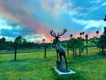 Elk statue at site Elk Run RV Park and Cabins - thumbnail