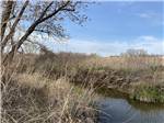 Trees and landscape near water nearby - thumbnail