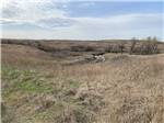 Nature scenes nearby - thumbnail