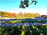 A view of fall trees from the RV sites - thumbnail