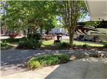 A shaded site - thumbnail