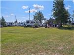 Trees by the RV sites - thumbnail