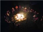 Group around the camp fire - thumbnail