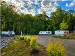 RV sites surrounded by trees - thumbnail