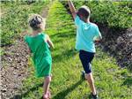 Kids walking in a field - thumbnail