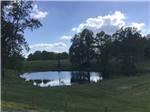 A small pond at the park - thumbnail