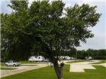Trucks and trailers parked in sites - thumbnail