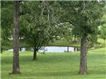 Grassy area near water - thumbnail