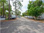 A road leading to RV sites - thumbnail