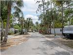 RV sites along a tree-lined road - thumbnail