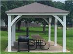 Picnic table and grill under a canopy - thumbnail