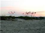 The beach at sunset - thumbnail