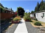Community Garden - thumbnail