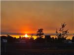 Sunset at the park - thumbnail