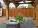 Fire pit under the pavilion - thumbnail