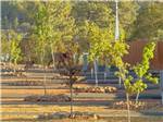 Row of empty sites - thumbnail