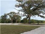 RV sites - thumbnail