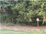 A nature trail - thumbnail