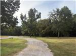 A grass lined path - thumbnail