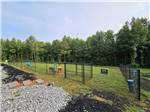 The dog park - thumbnail
