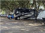 A row of RV sites under trees at MAXIE'S CAMPGROUND - thumbnail