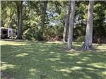 Trees and a grassy area at MAXIE'S CAMPGROUND - thumbnail