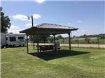 Shaded area with picnic table at WEEKS ISLAND RV PARK - thumbnail