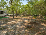 Picnic table at site Sun Retreats Crystal River - thumbnail