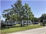 A group of trees next to RV sites at CAMPGROUNDS OF THE SOUTH - thumbnail