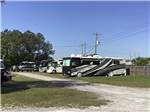 Motorhomes parked in grass at CAMPGROUNDS OF THE SOUTH - thumbnail