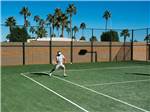 View larger image of Man playing tennis at VAL VISTA VILLAGE RV RESORT image #10
