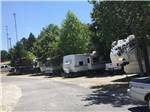 View larger image of Paved road at CLOUD NINE RV PARK image #7