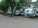 RV site with trees La Veta Pines RV Park - thumbnail