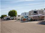 View larger image of Trailers camping at campsite at CACTUS GARDENS RV RESORT image #2