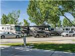 A row of motorhomes in RV sites at DESERT ROSE RV PARK - thumbnail