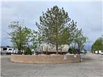 Covered wagon rental - thumbnail