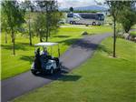 View larger image of Golf cart at DEER PARK RV RESORT image #5
