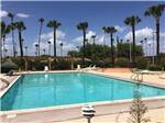View larger image of A view of the pool surrounded by palm trees at TIP O TEXAS RV RESORT image #1