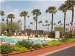 View larger image of People enjoying the outdoor swimming pool at TIP O TEXAS RV RESORT image #8