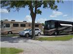 A couple of motorhomes in pull thru sites at LAZY L RV PARK - thumbnail