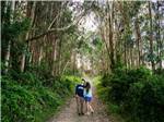 A couple on a tree-lines nature trail - thumbnail