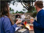 Two couples around a fire ring - thumbnail